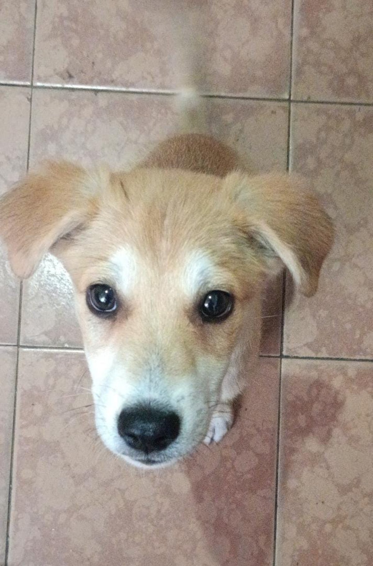 This is some image alt text for the background