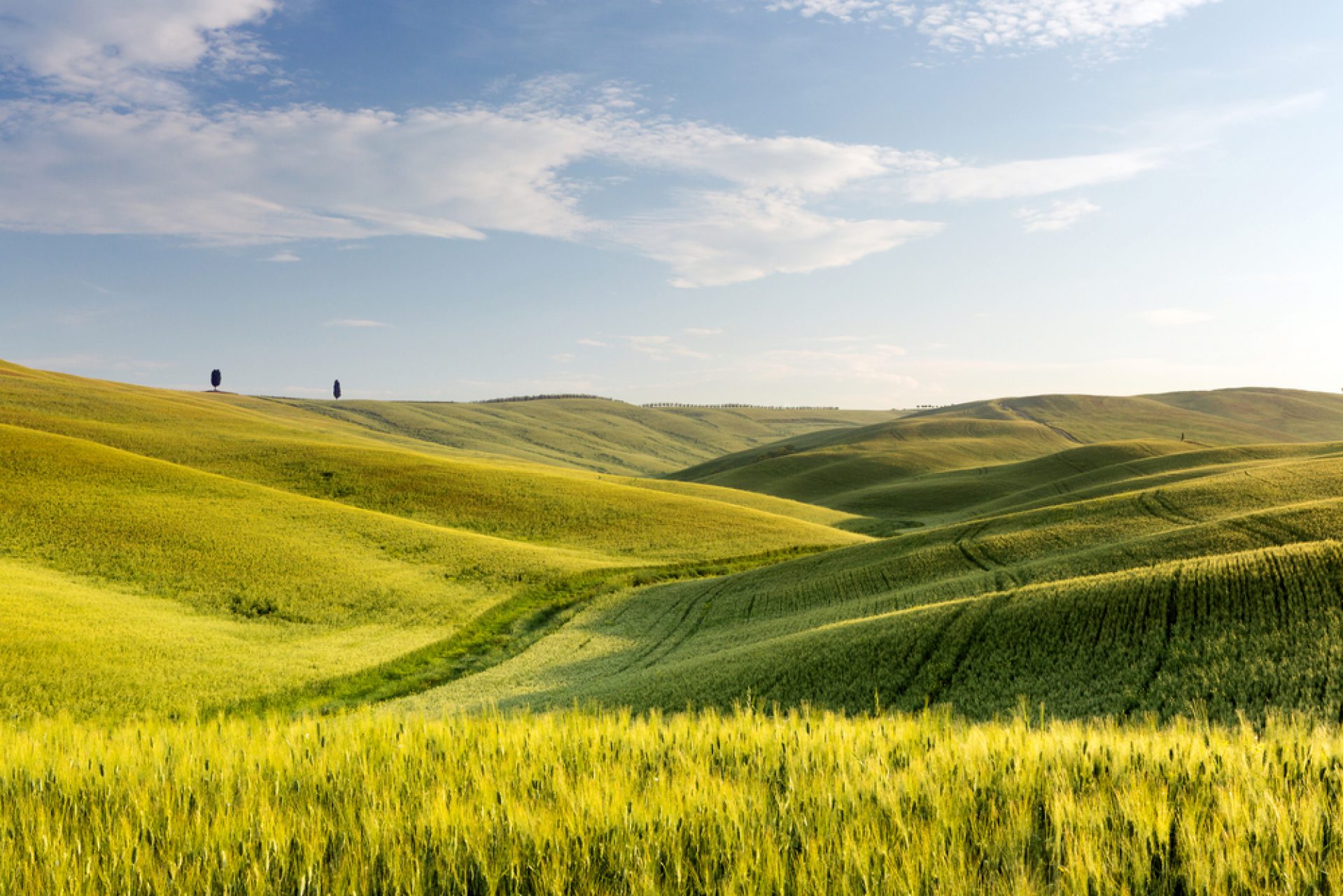 rolling green hills with blue sky and wispy clouds in background