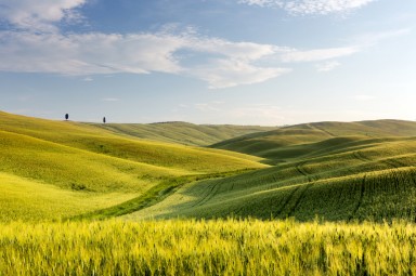 rolling green hills with blue sky and wispy clouds in background