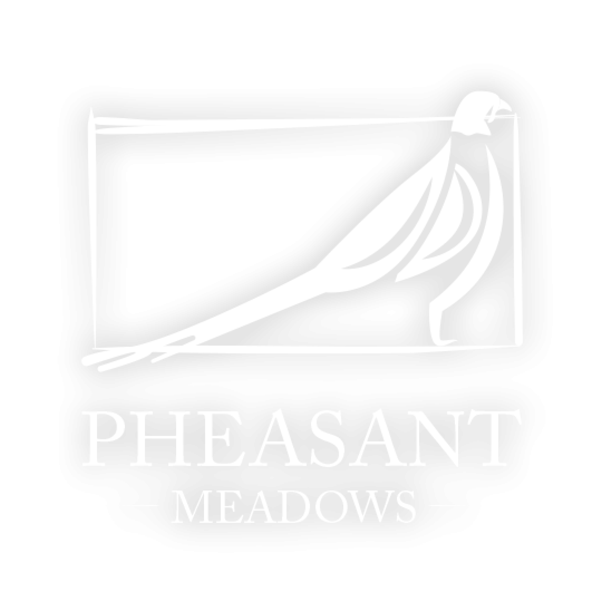 Pheasant Meadows new homes for sale light logo